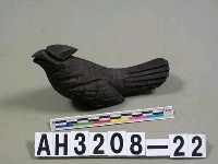 藏品(鳥)的圖片